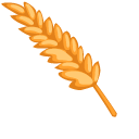 Thanksgiving Day Scarecrow and Wheat
