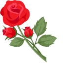 Florist