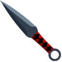 Ninja