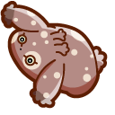 Cute Aplysia Depilans