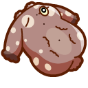 Cute Aplysia Depilans