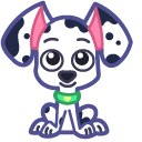 Cute Dalmatian Puppy