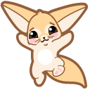 Cute Fennec Fox