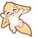 Cute Fennec Fox