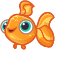 Cute Goldfish