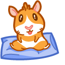 Cute Guinea Pig on Pillow