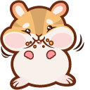 Cute Hamster