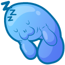 Cute Manatee