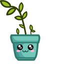 Cute Pot with Plant