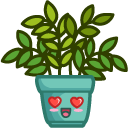 Cute Pot with Plant
