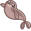 Cute Seal