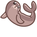 Cute Seal