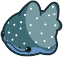 Cute Whale Shark