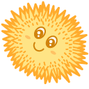 Kawaii Orange Sea Urchin