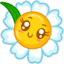 Kawaii Smiling Happy Daisy