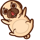 Puglie Pug
