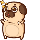 Puglie Pug