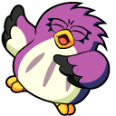 Kirby Coo