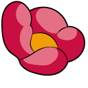 Kirby Stactus and Flower