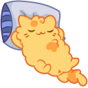Kleptocats Chester
