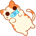 Kleptocats Guapo