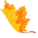 Autumn Maple Leaf