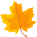 Autumn Maple Leaf