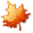 Balloon Autumn Leaf and Turkey