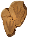 Dinosaur Fossil Footprints and Bones