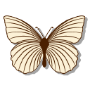Elegant Butterflies