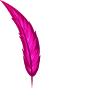 Feathers Enchanted with Magic