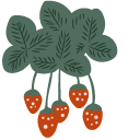 Garden Strawberry