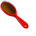 Hairbrush and Hair Clip
