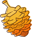 Hand Drown Conifer Cone and Acorn