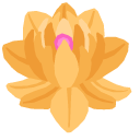 Hand of Fatima and Golden Lotus