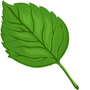 Tree Leaf