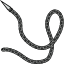 Ghost Rider Chain
