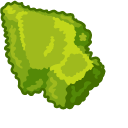 Materials Bush