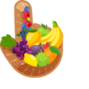 Materials Fruit Bowl