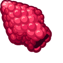 Materials Raspberry