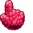 Materials Raspberry