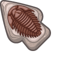 Materials Trilobite Fossil