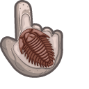 Materials Trilobite Fossil