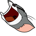 Angry Tom Noises Meme