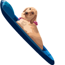 Boat Dog Meme