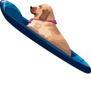 Boat Dog Meme