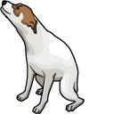 Brazil Dog Dance Meme