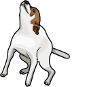 Brazil Dog Dance Meme