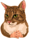 Cat with Hands Meme