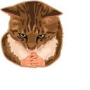 Cat with Hands Meme